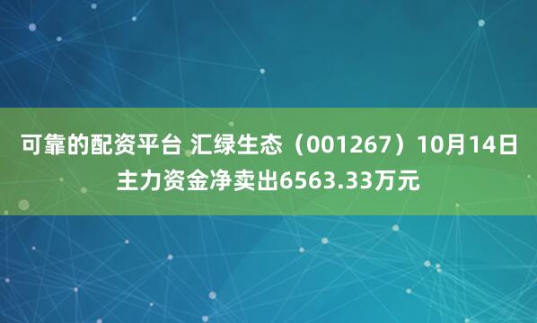 可靠的配资平台 汇绿生态（001267）10月14日主力资金净卖出6563.33万元